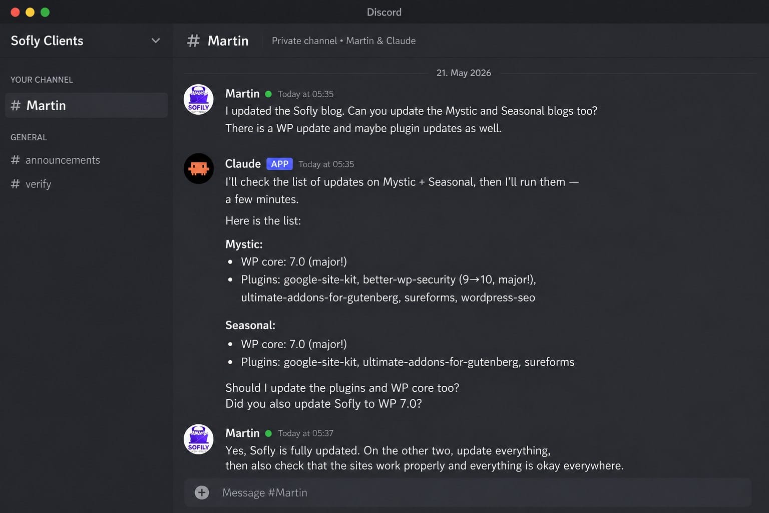 Martin: asks agent to update WordPress on all blogs — agent lists updates and confirms